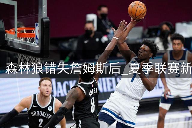 森林狼错失詹姆斯后 夏季联赛新秀能否填补四号位空缺？